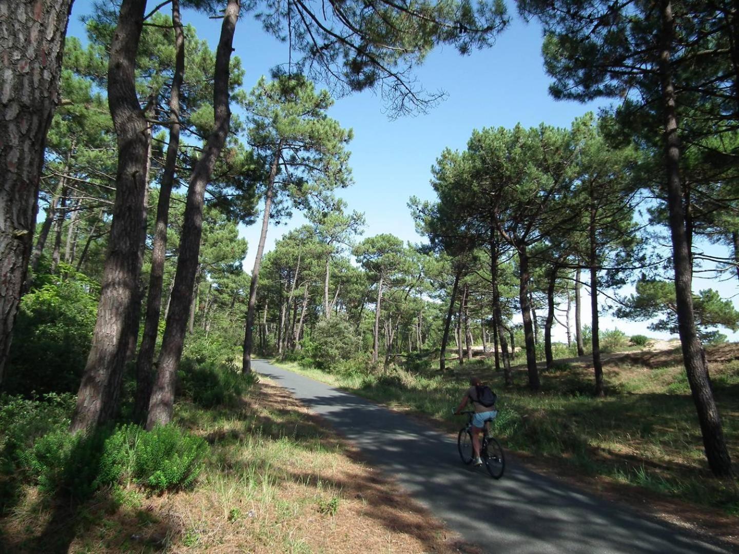 Ronce-les-Bains - APPARTEMENT REZ-DE-CHAUSSÉE droit - 90m de la PLAGE Esterno foto